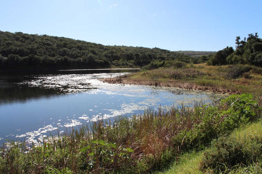 3 Bedroom Property for Sale in Bathurst Eastern Cape